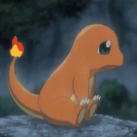 Meet your Posher, Adam - Picture 1 of 1